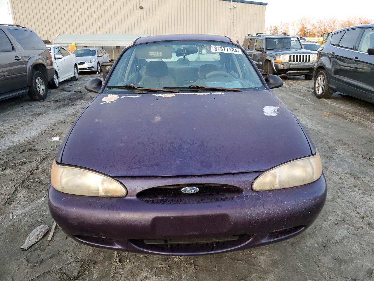1997 Ford Escort Lx Purple vin: 1FALP13P9VW168592