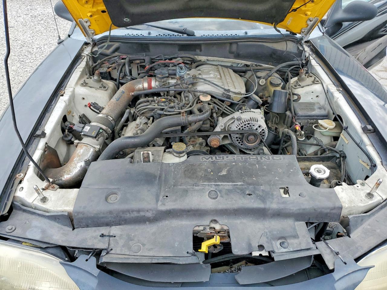 1995 Ford Mustang Two Tone vin: 1FALP4042SF278424