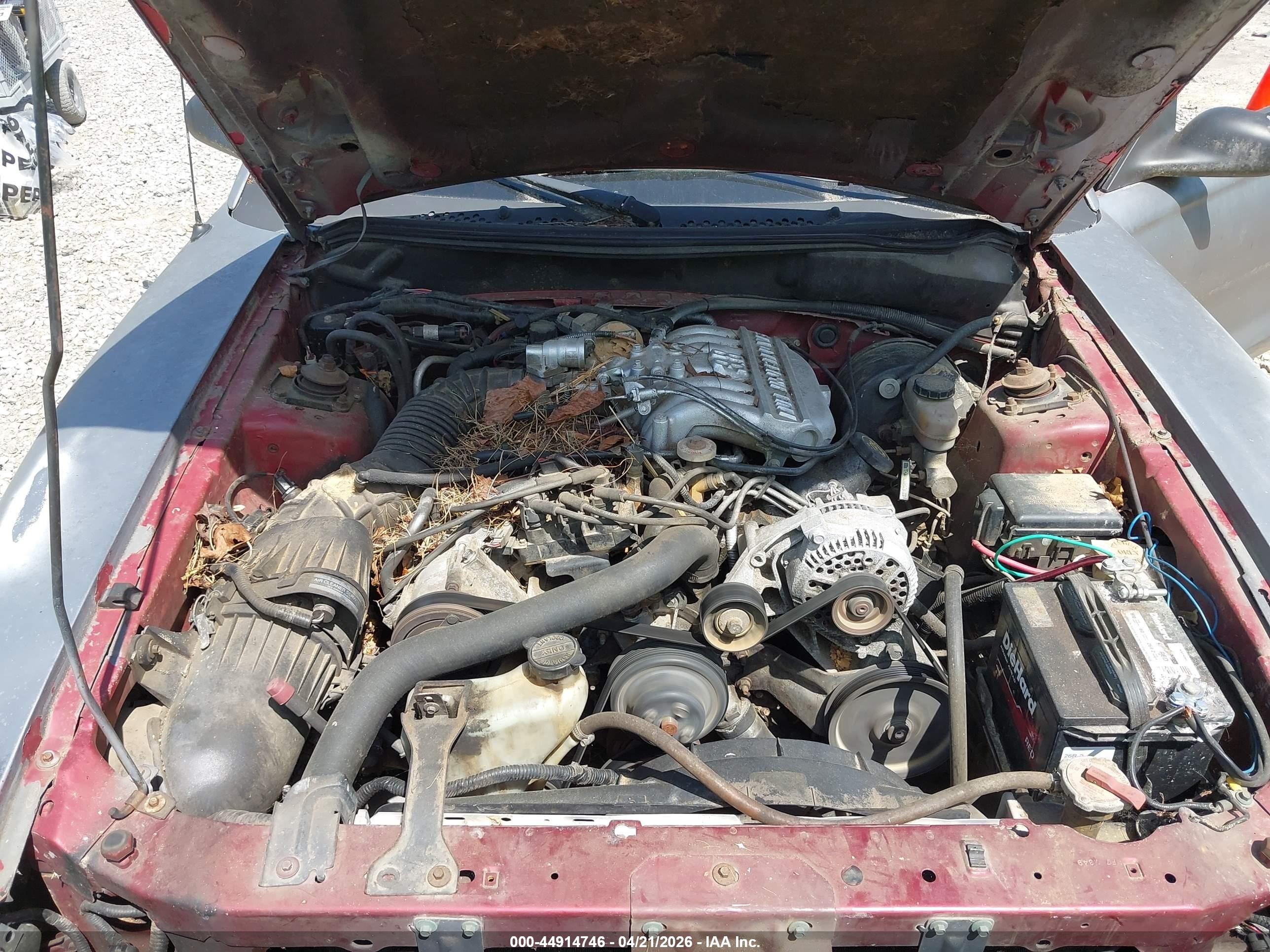 1996 Ford Mustang   Silver vin: 1FALP4042TF226048