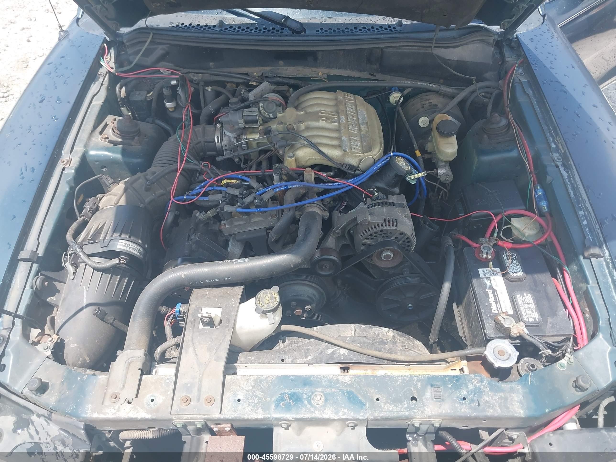 1994 Ford Mustang   Green vin: 1FALP4043RF183784
