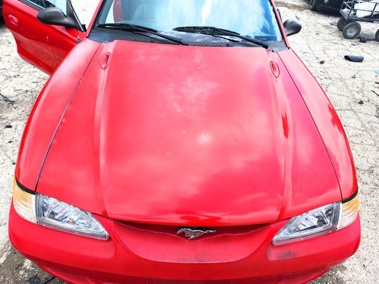 1997 Ford Mustang Red vin: 1FALP4047VF128877