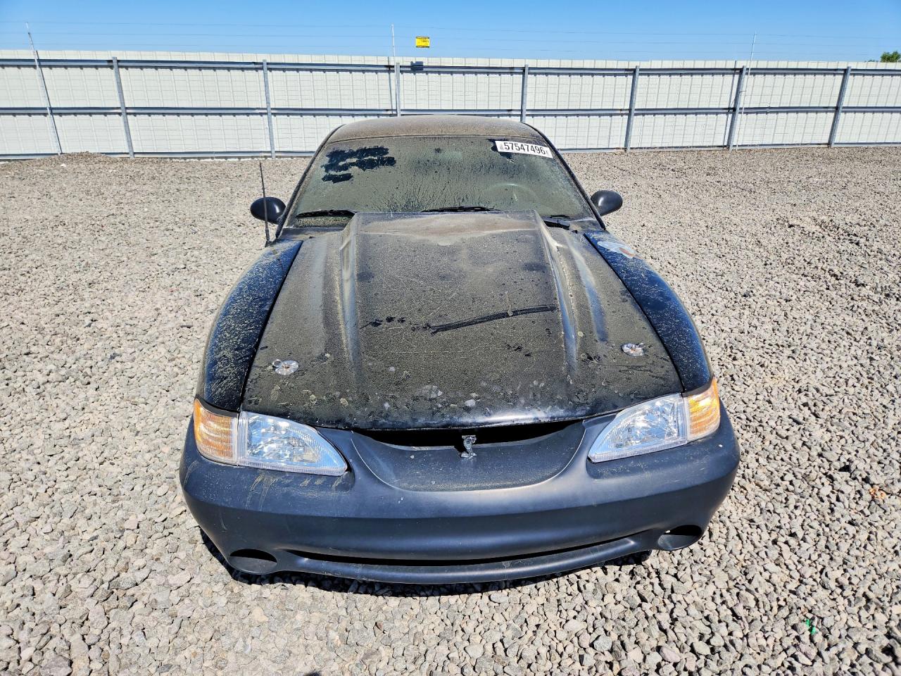 1994 Ford Mustang Cobra Black vin: 1FALP42D6RF204558
