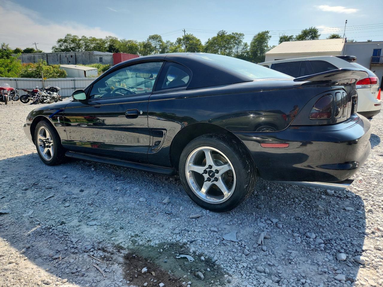 1994 Ford Mustang Cobra Black vin: 1FALP42D7RF213432