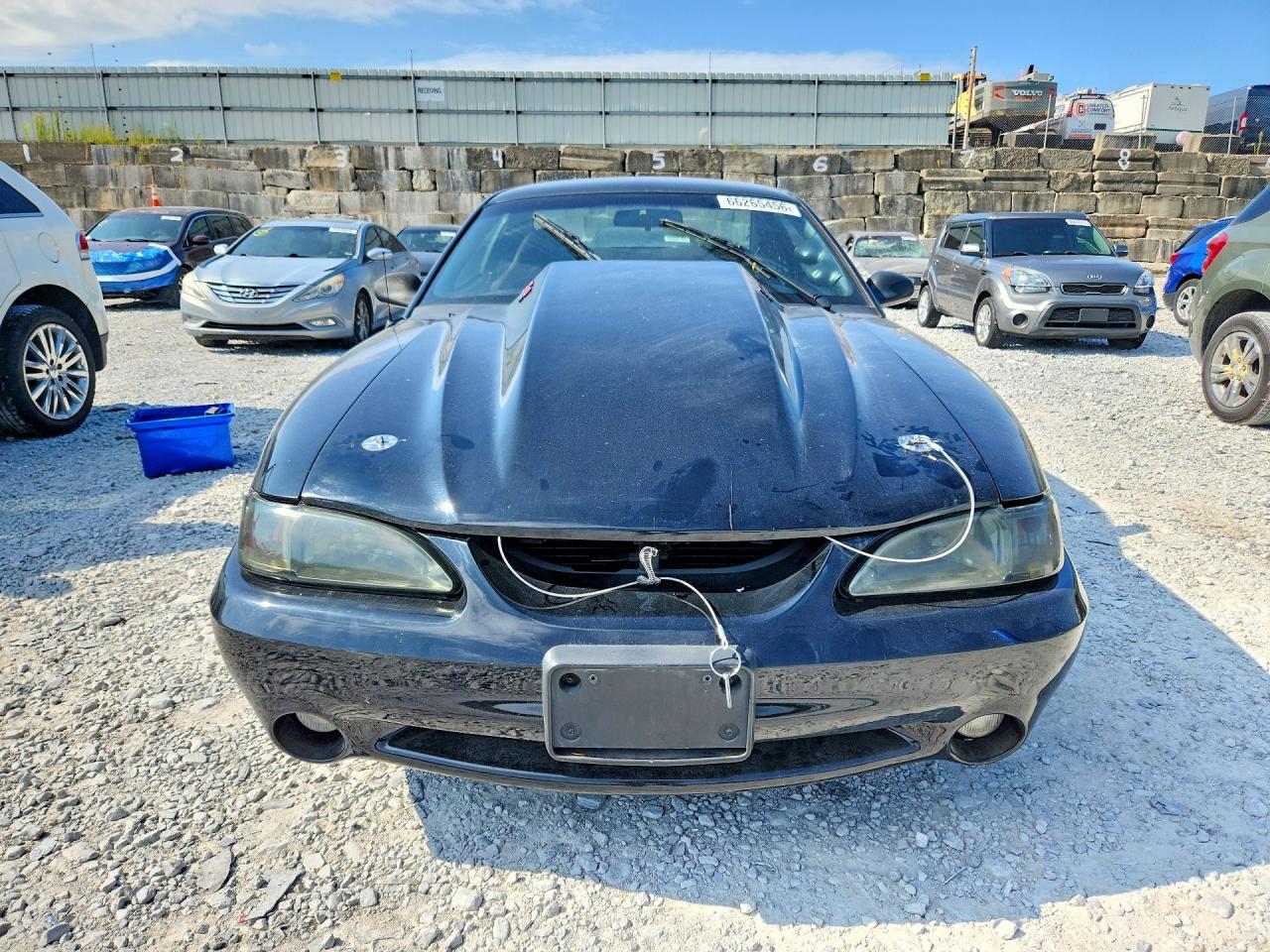 1994 Ford Mustang Cobra Black vin: 1FALP42D7RF213432