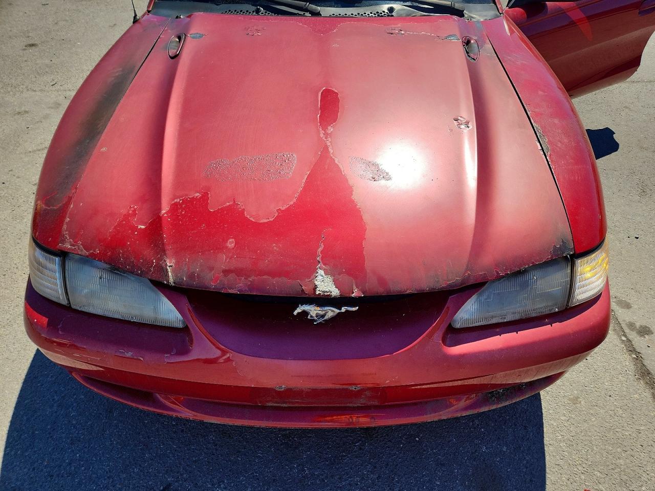 1994 Ford Mustang Red vin: 1FALP42T6RF149438
