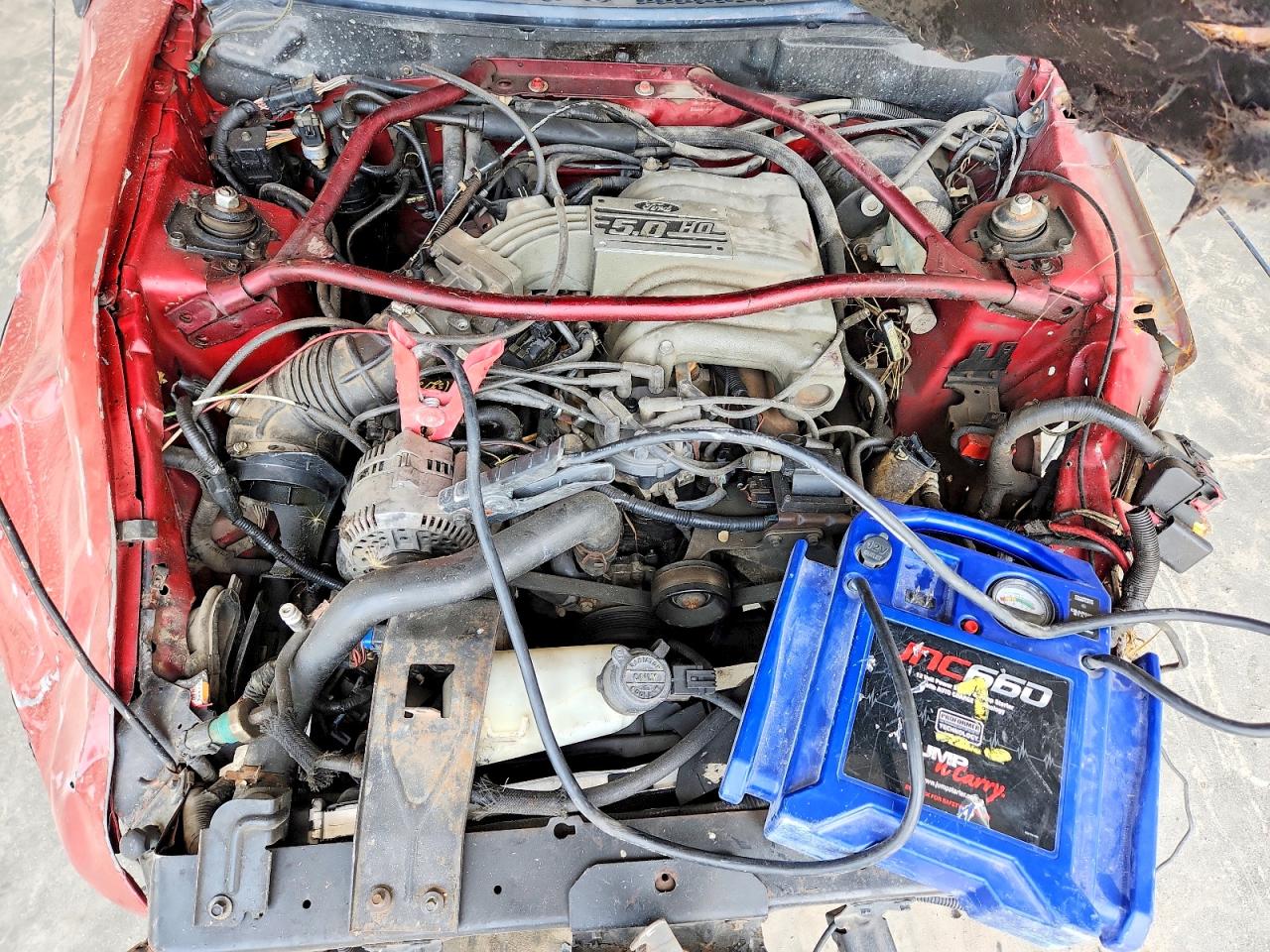 1995 Ford Mustang Gt Красный vin: 1FALP42T9SF232030