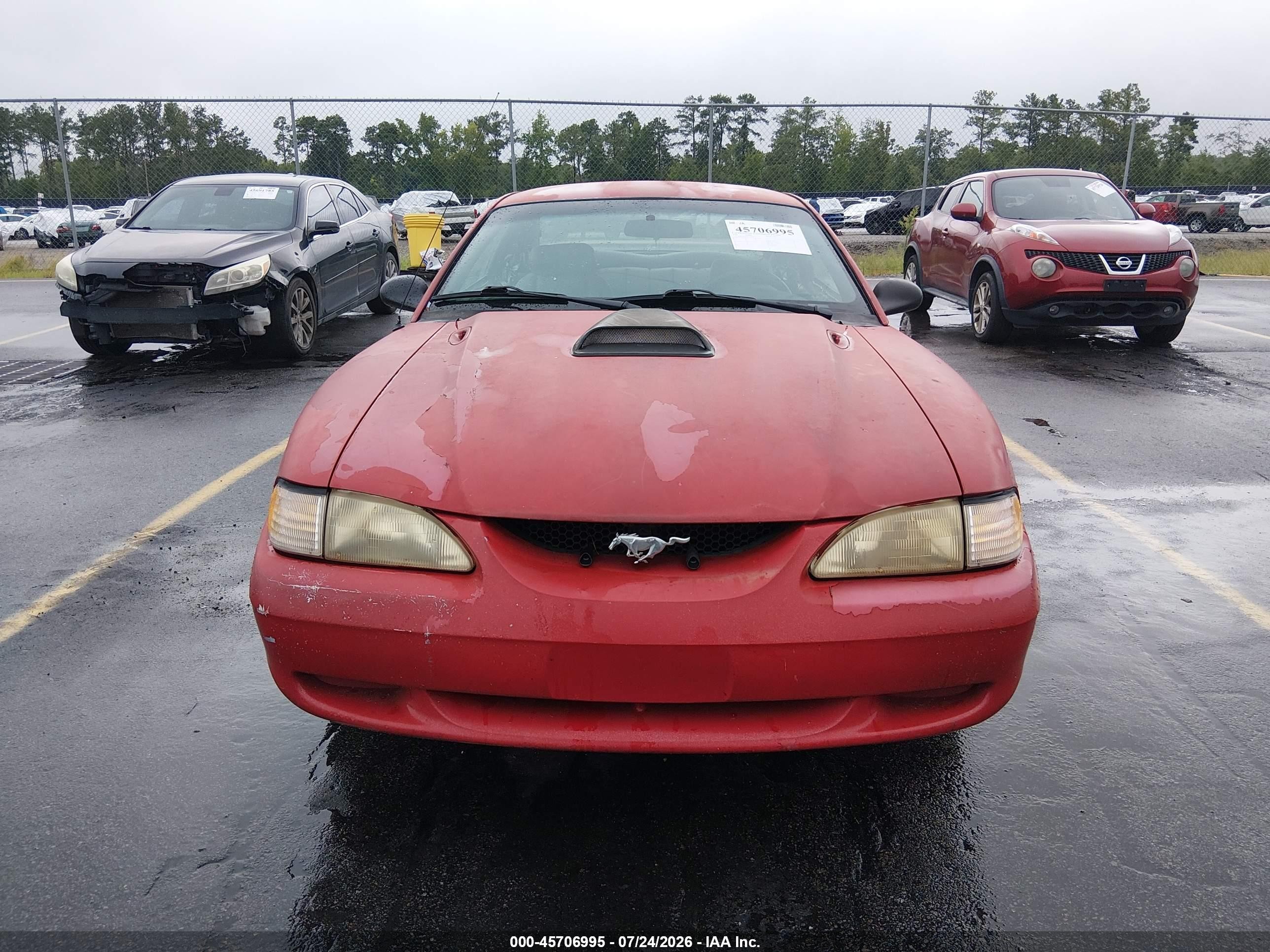 1996 Ford Mustang Gt Красный vin: 1FALP42X0TF168514