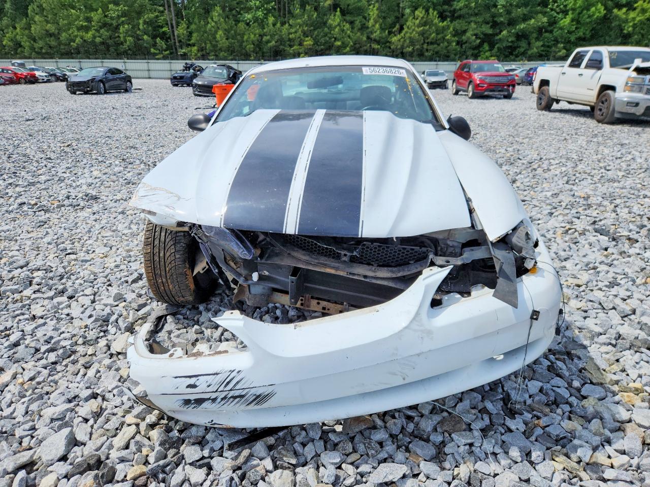 1996 Ford Mustang Gt White vin: 1FALP42X6TF194258
