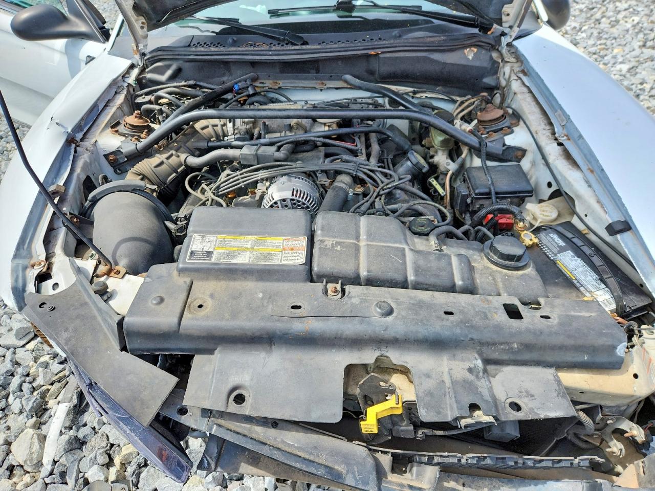 1996 Ford Mustang Gt White vin: 1FALP42X6TF194258
