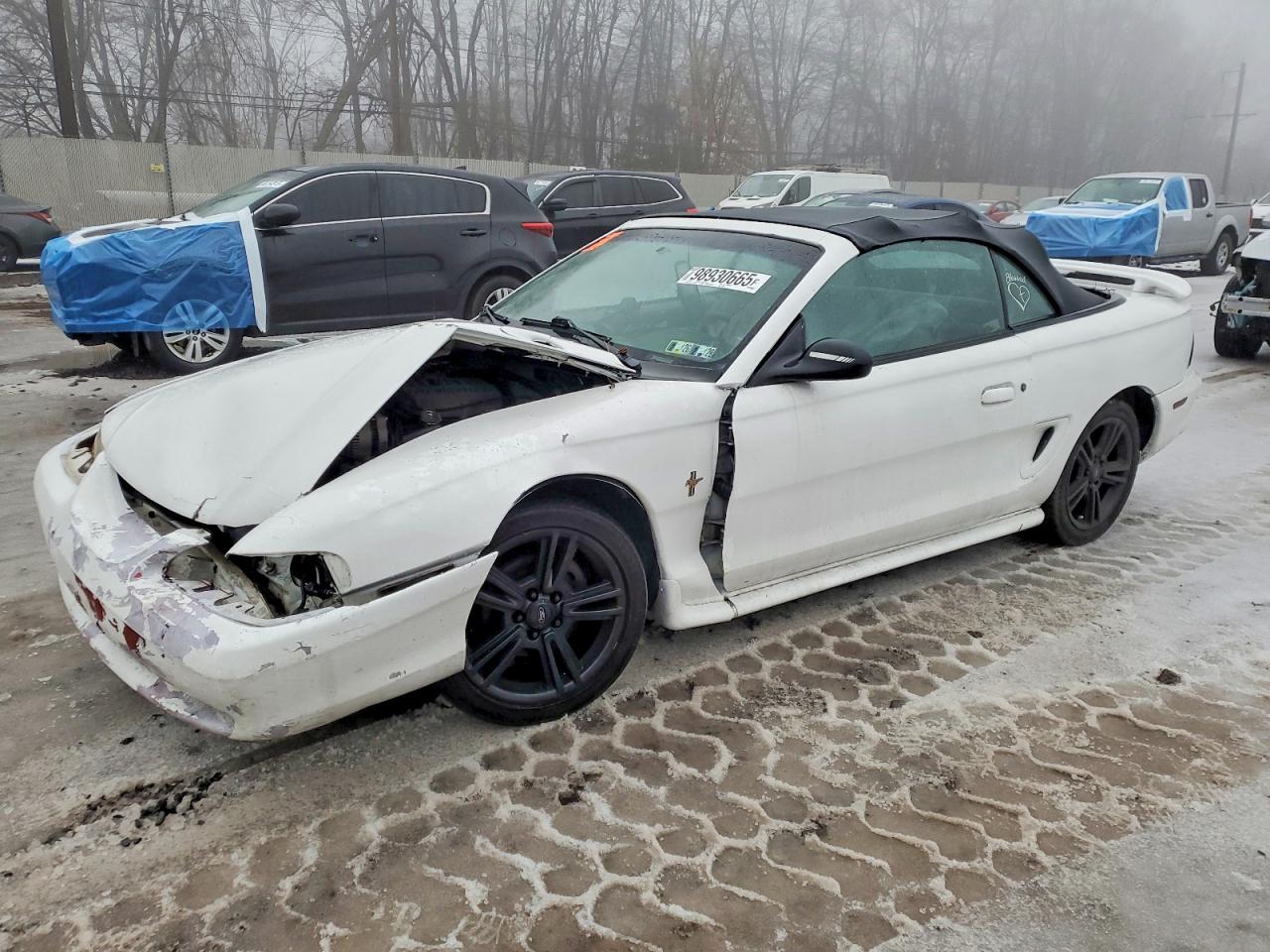 1FALP4442VF178659
