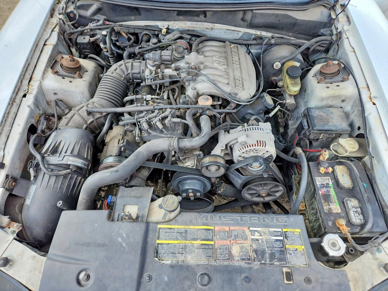 1994 Ford Mustang White vin: 1FALP4443RF133719