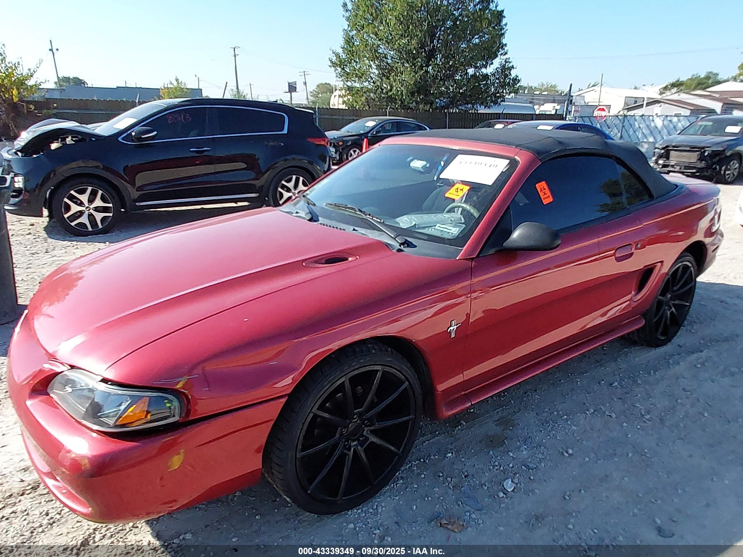 1995 Ford Mustang   Red vin: 1FALP4444SF221863