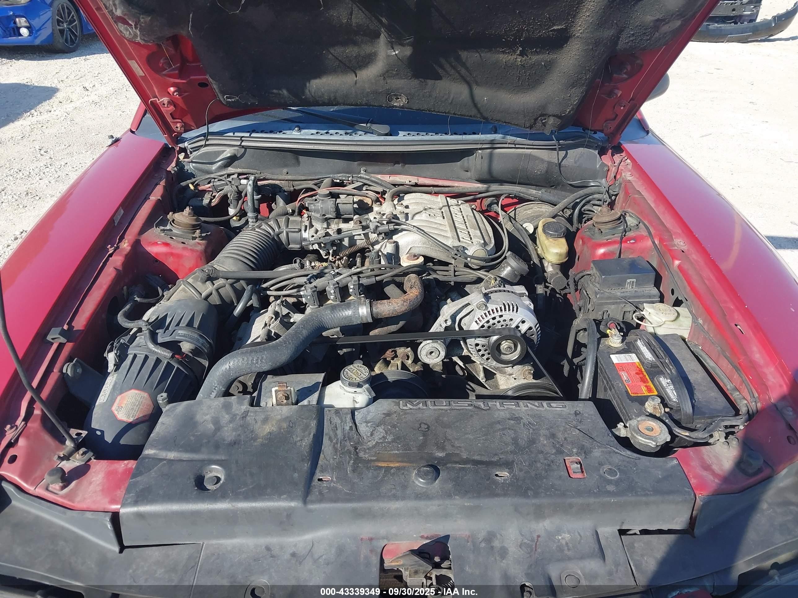 1995 Ford Mustang   Red vin: 1FALP4444SF221863