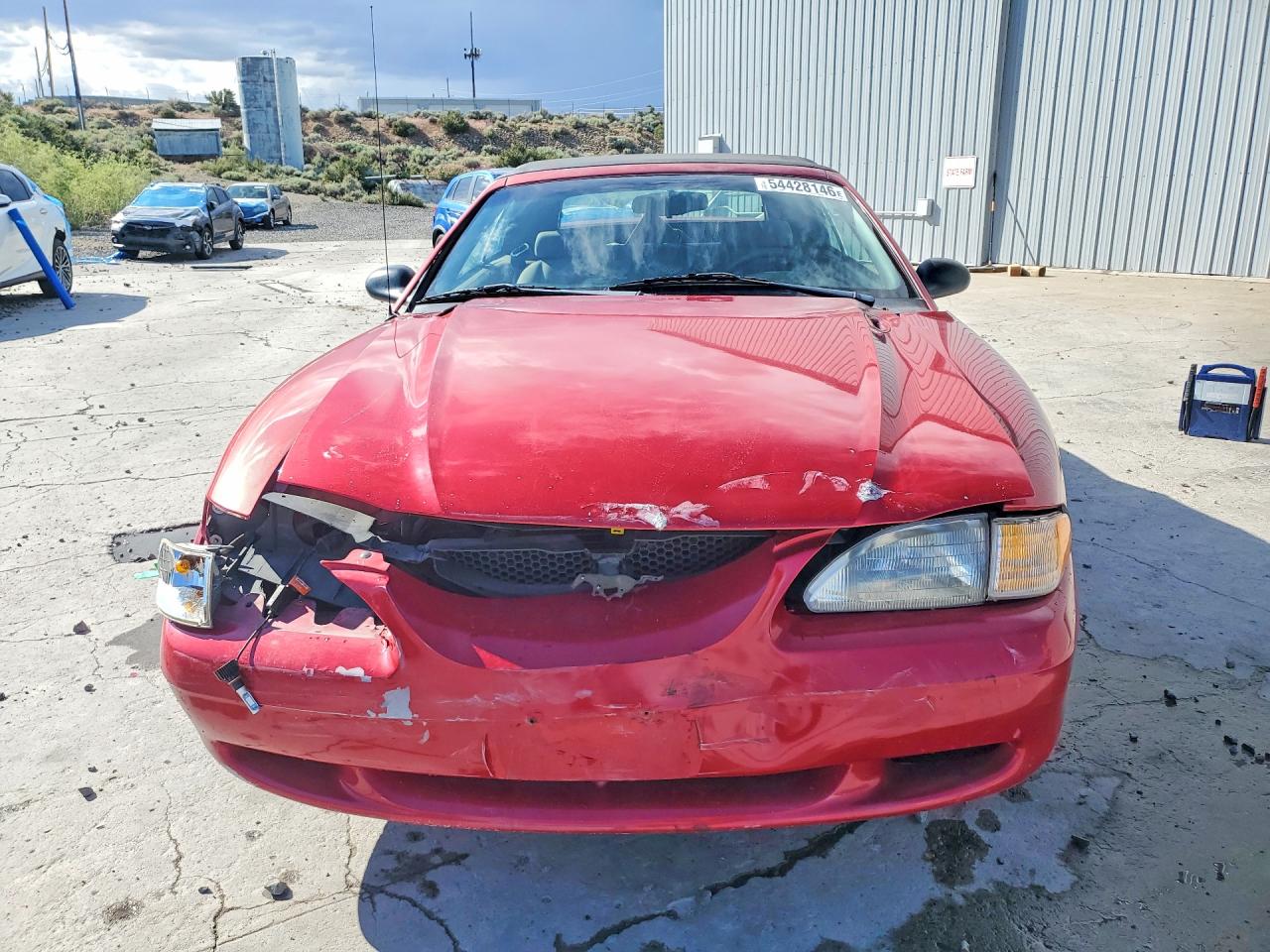 1997 Ford Mustang Бордовый vin: 1FALP4445VF182950