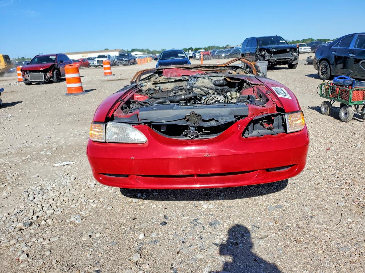 1994 Ford Mustang Red vin: 1FALP4449RF209542