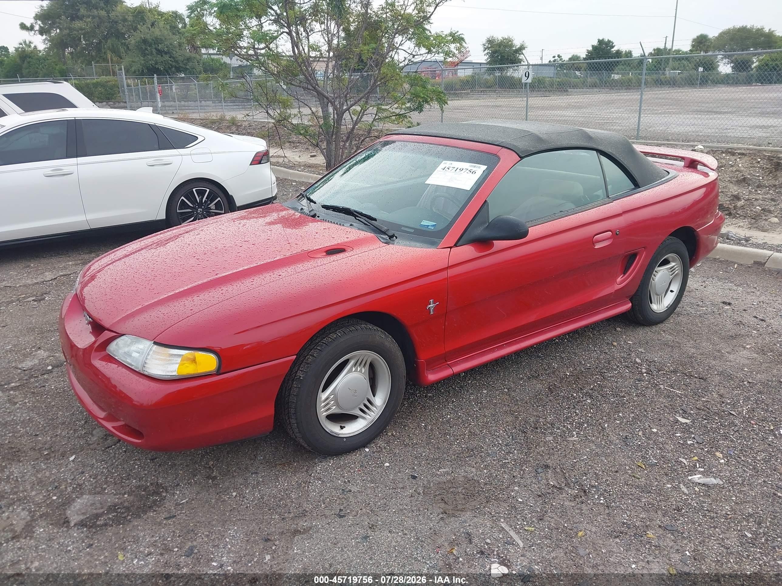 1995 Ford Mustang   Red vin: 1FALP444XSF240062