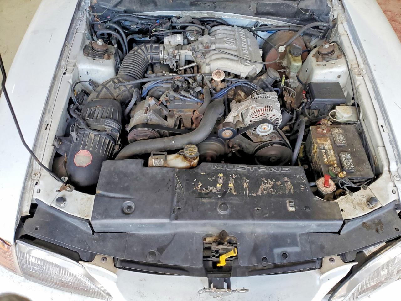 1996 Ford Mustang White vin: 1FALP444XTF221089