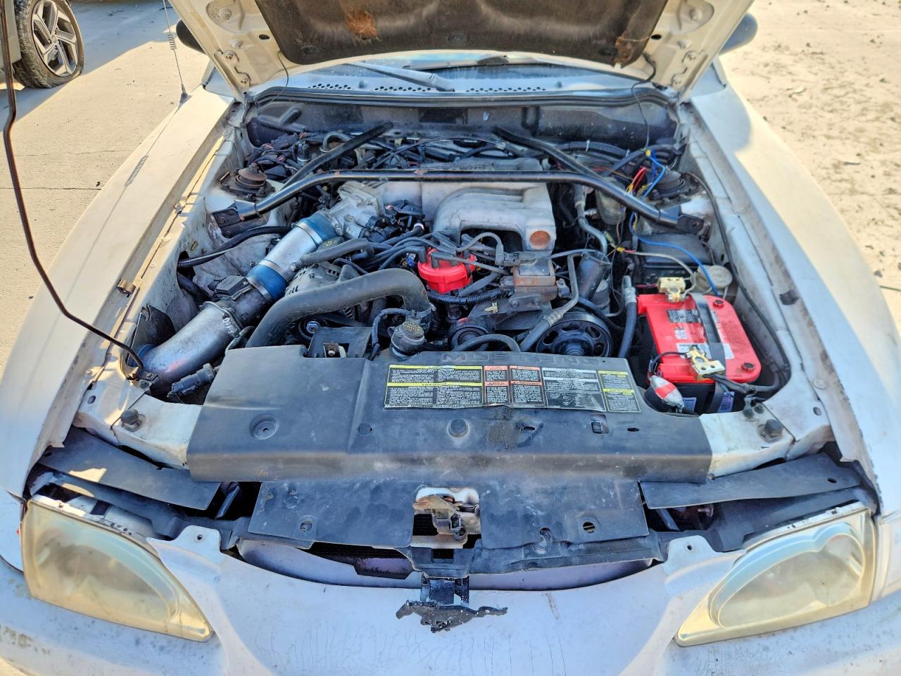1995 Ford Mustang Gt Белый vin: 1FALP45T5SF139176