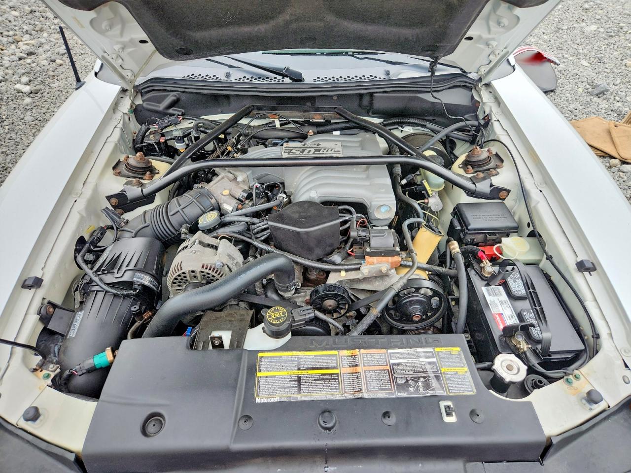 1995 Ford Mustang Gt White vin: 1FALP45T8SF104602