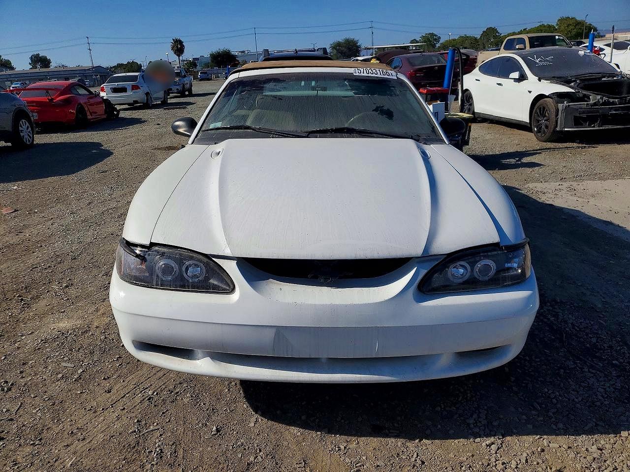 1997 Ford Mustang Gt Белый vin: 1FALP45X0VF153588