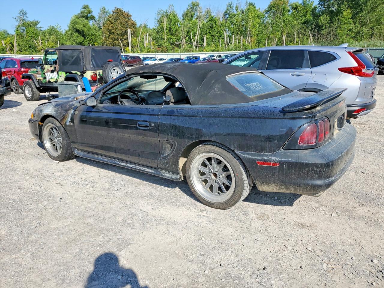 1996 Ford Mustang Gt Black vin: 1FALP45X9TF170449