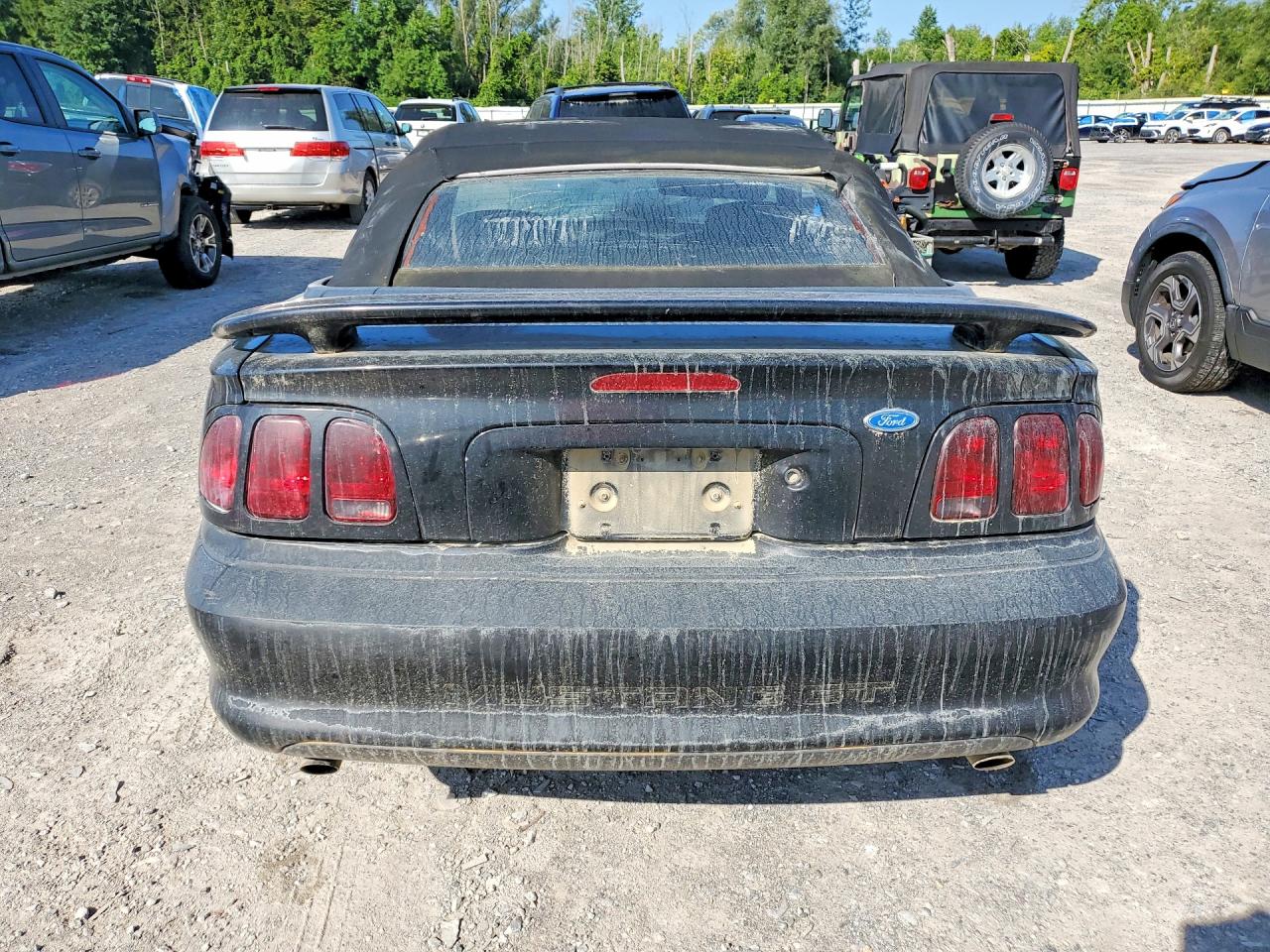 1996 Ford Mustang Gt Black vin: 1FALP45X9TF170449