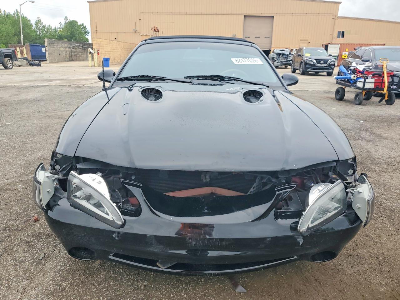 1996 Ford Mustang Cobra Black vin: 1FALP46V4TF188029