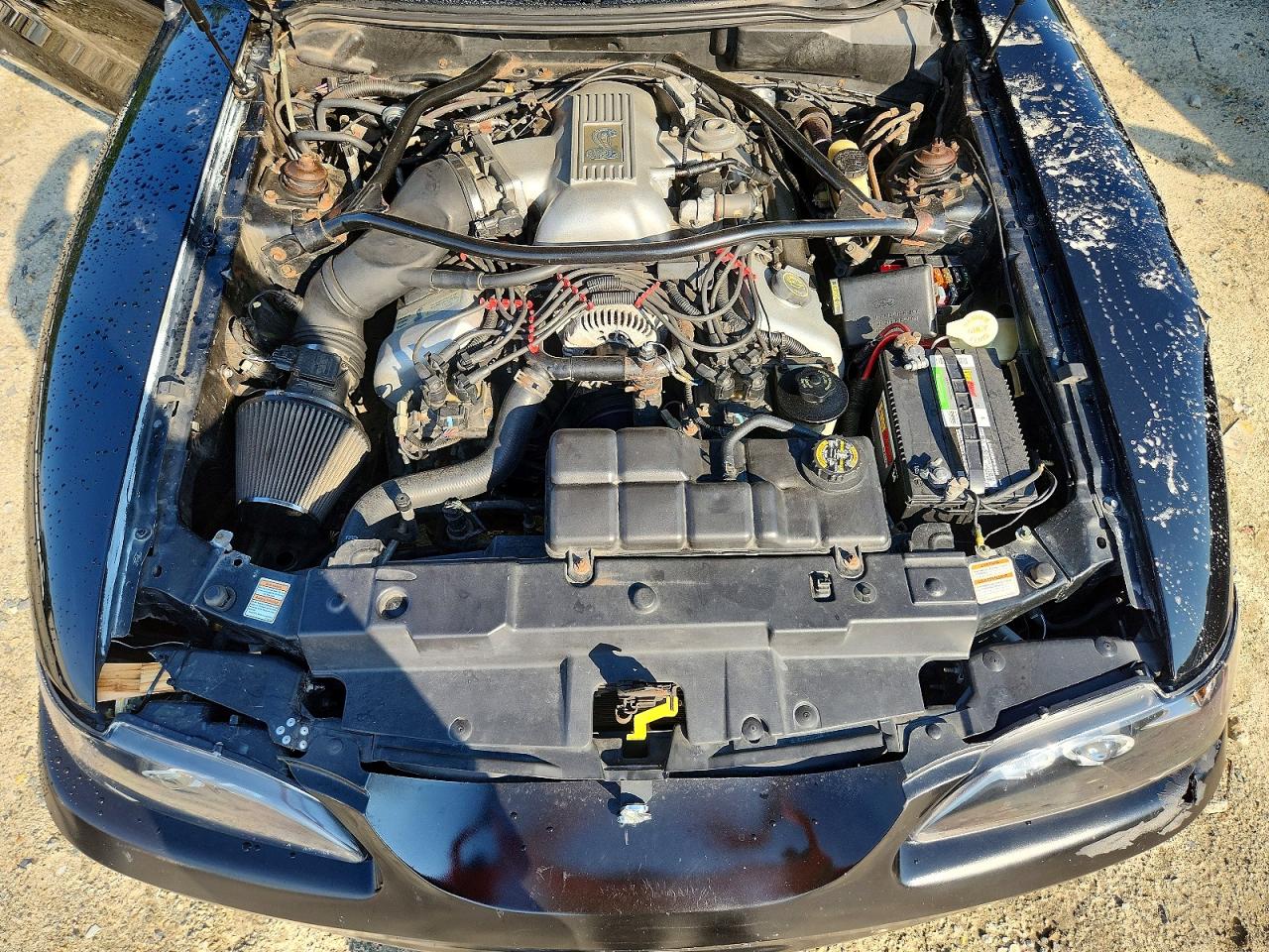 1997 Ford Mustang Svt Cobra Black vin: 1FALP46VXVF166362