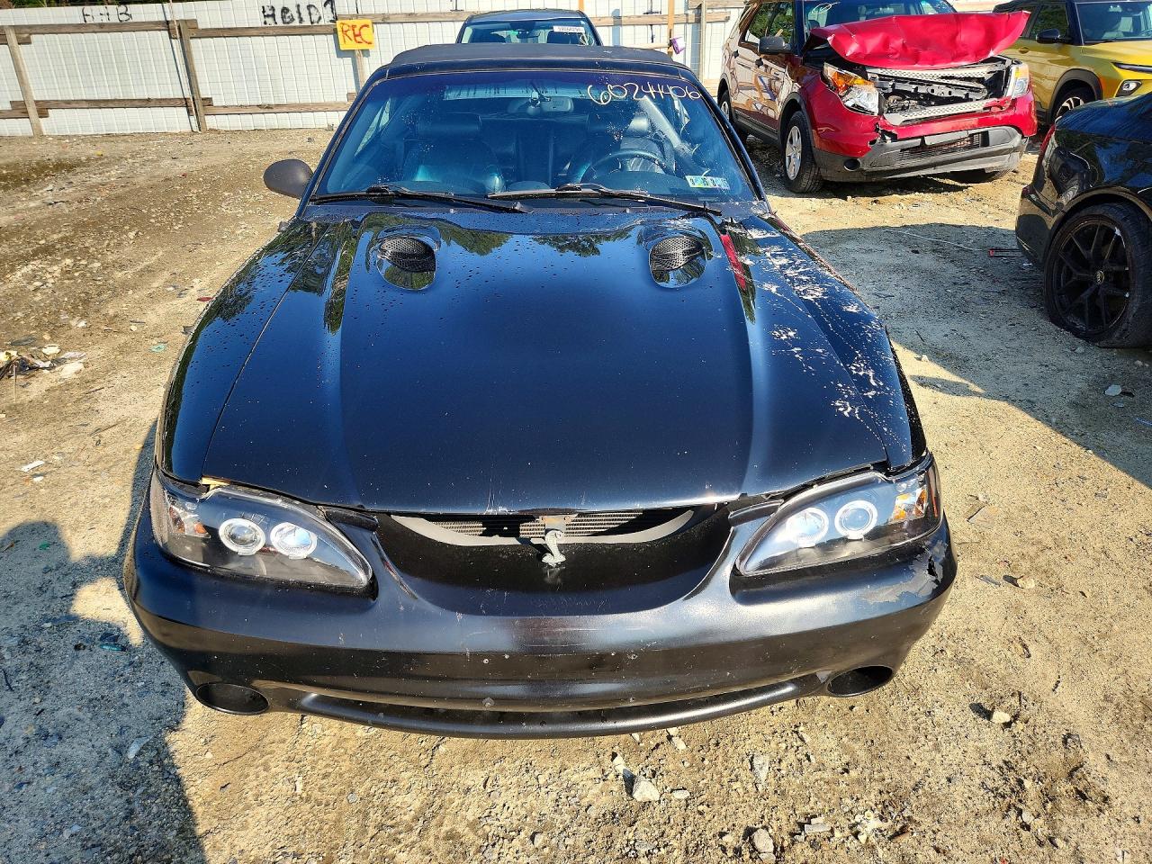 1997 Ford Mustang Svt Cobra Black vin: 1FALP46VXVF166362