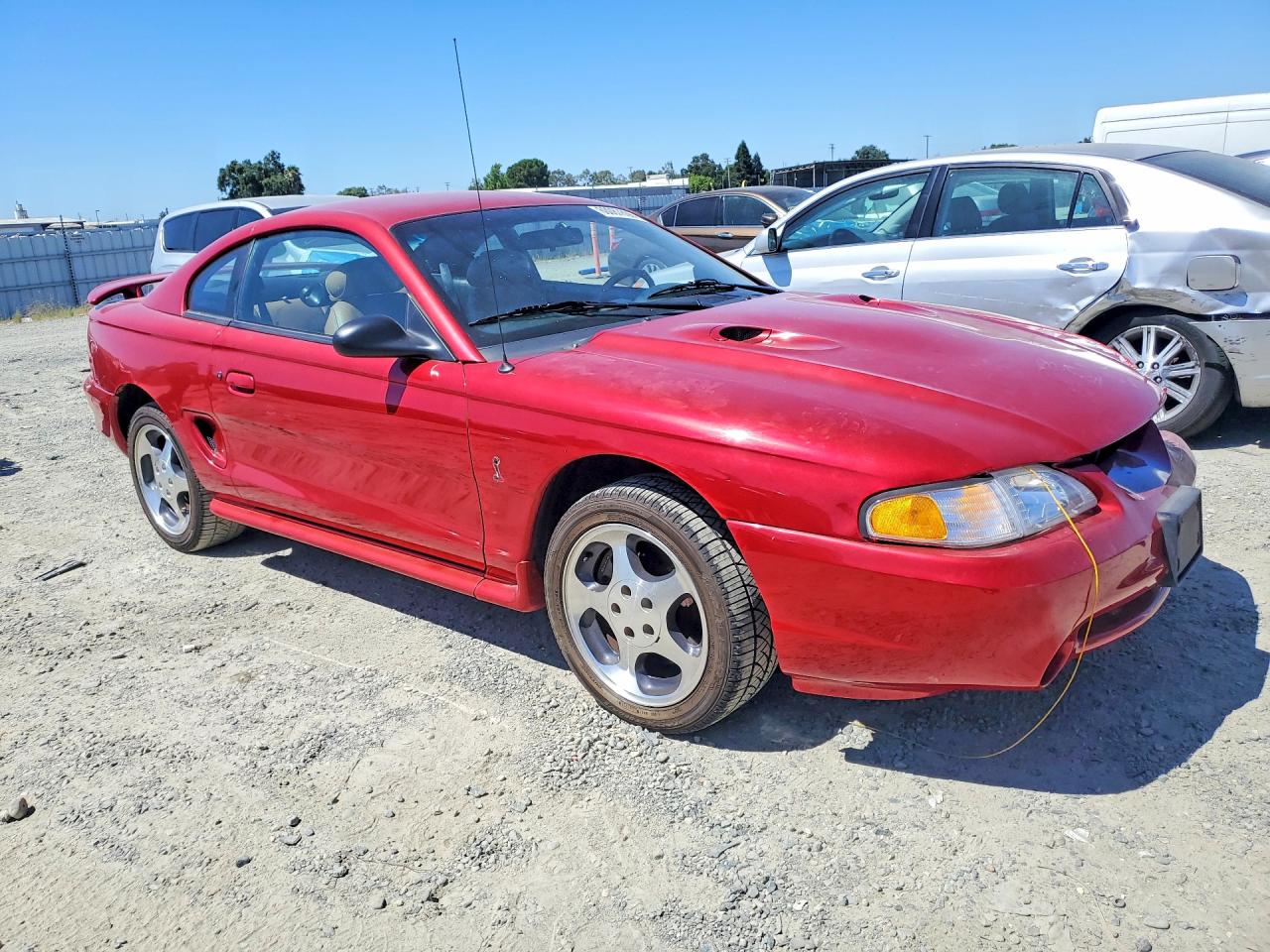 1996 Ford Mustang Cobra Red vin: 1FALP47V1TF134444