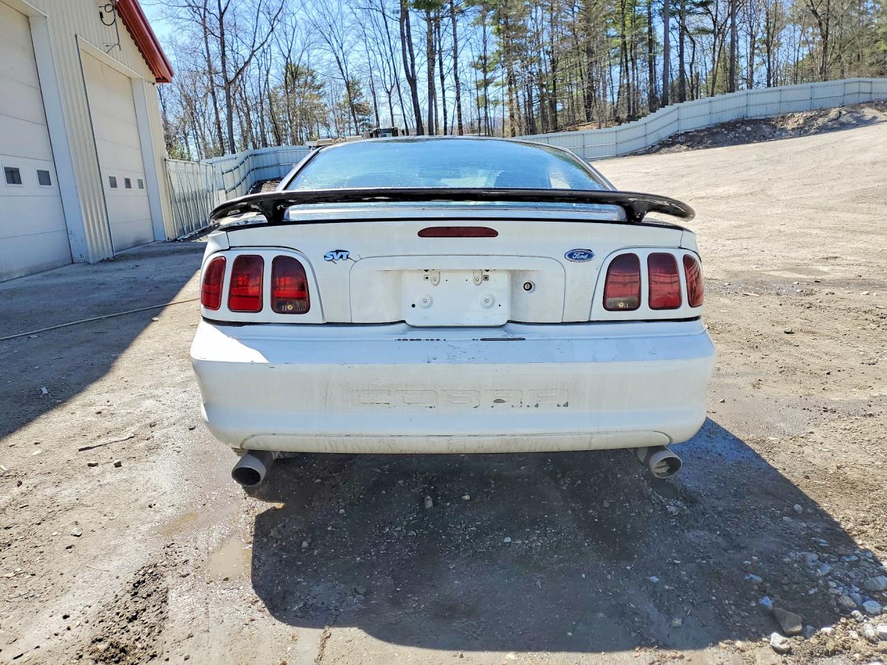 1996 Ford Mustang Cobra Two Tone vin: 1FALP47V4TF144529
