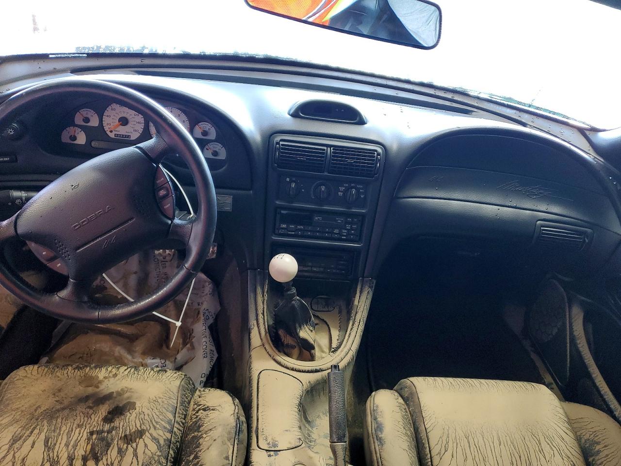 1997 Ford Mustang Cobra Черный vin: 1FALP47V4VF163679