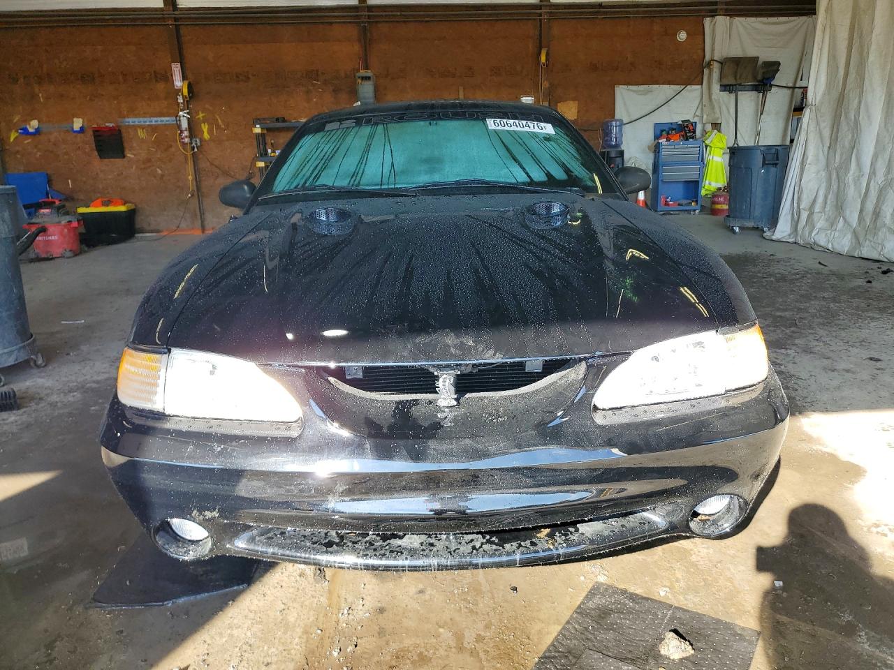 1997 Ford Mustang Cobra Черный vin: 1FALP47V4VF163679