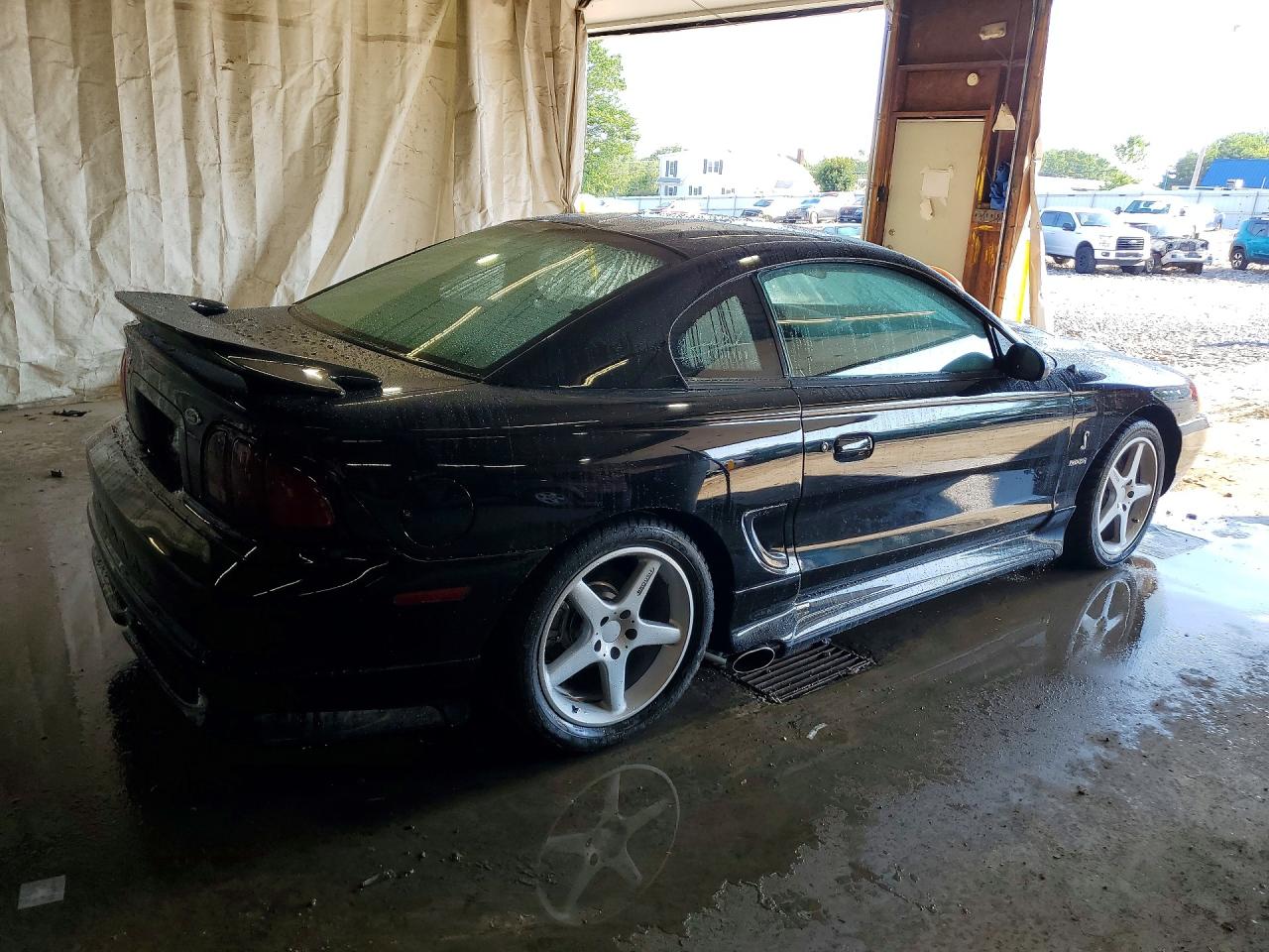 1997 Ford Mustang Cobra Черный vin: 1FALP47V4VF163679