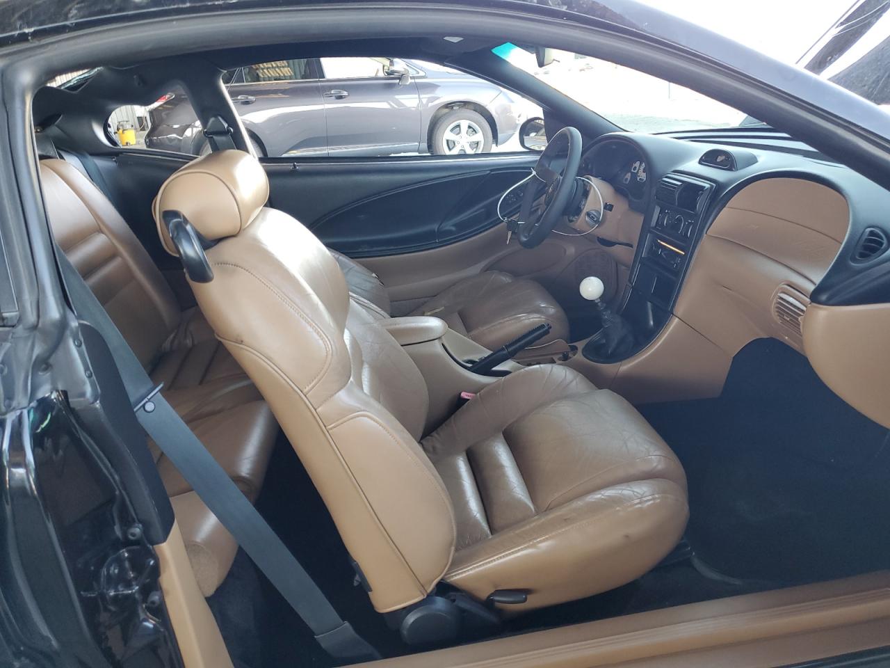 1997 Ford Mustang Cobra Black vin: 1FALP47V6VF192682