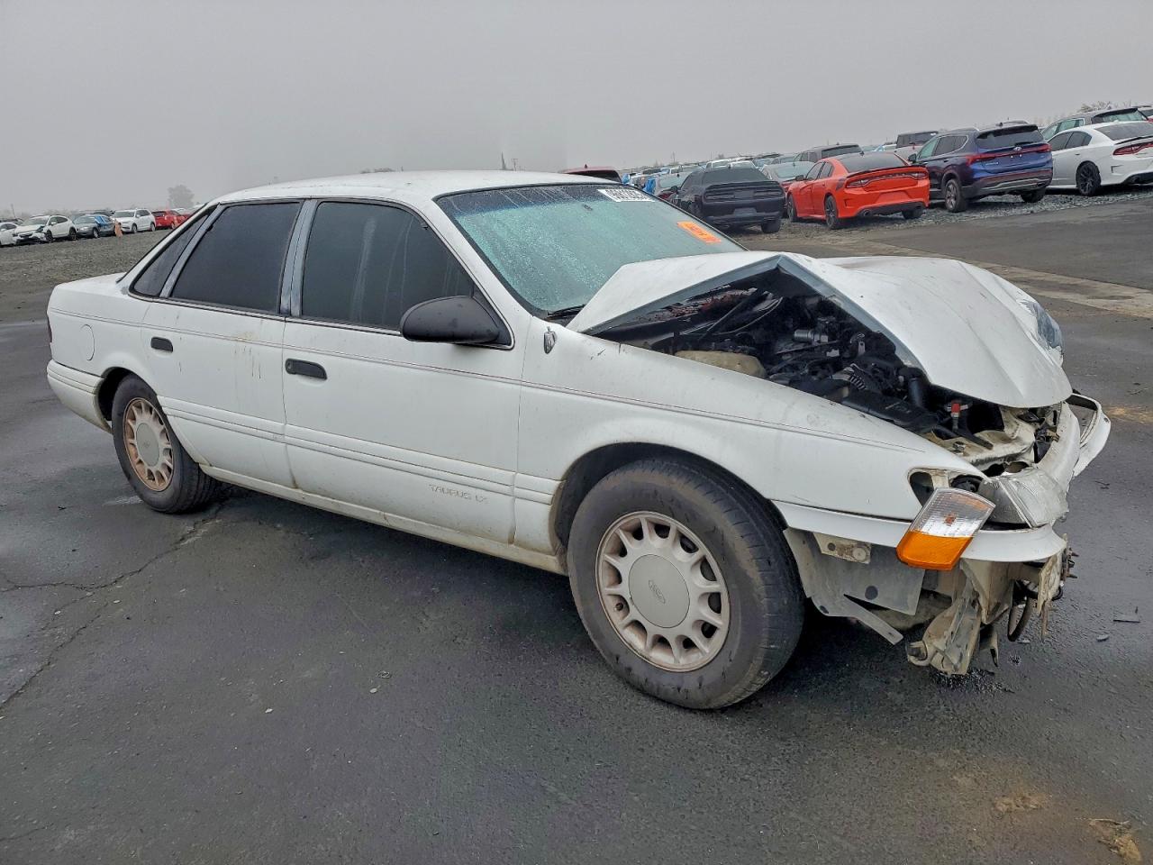 1992 Ford Taurus Lx White vin: 1FALP5342NG231135