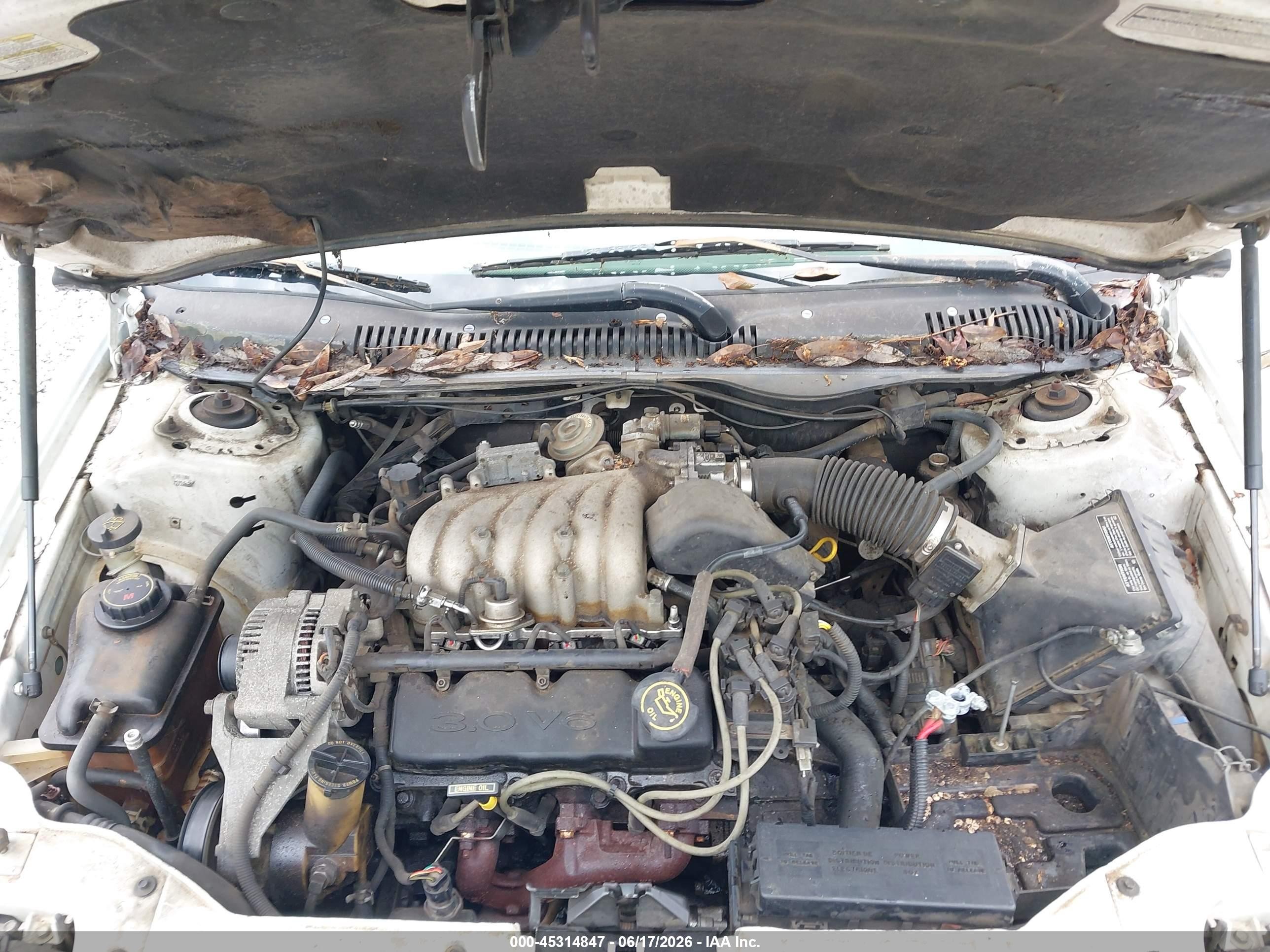 1996 Ford Taurus Gl White vin: 1FALP57U5TA173323