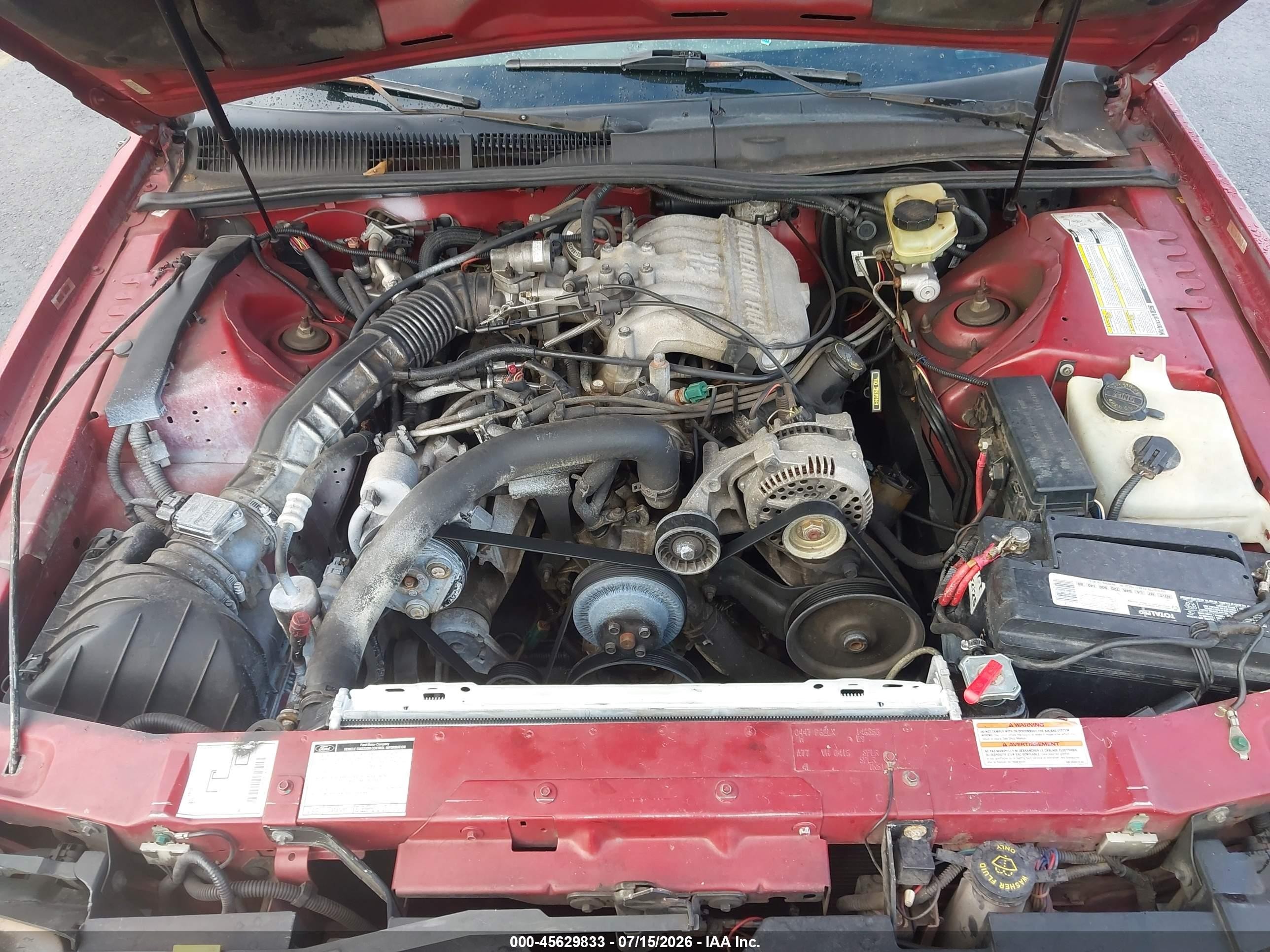 1997 Ford Thunderbird Lx Красный vin: 1FALP6241VH146353