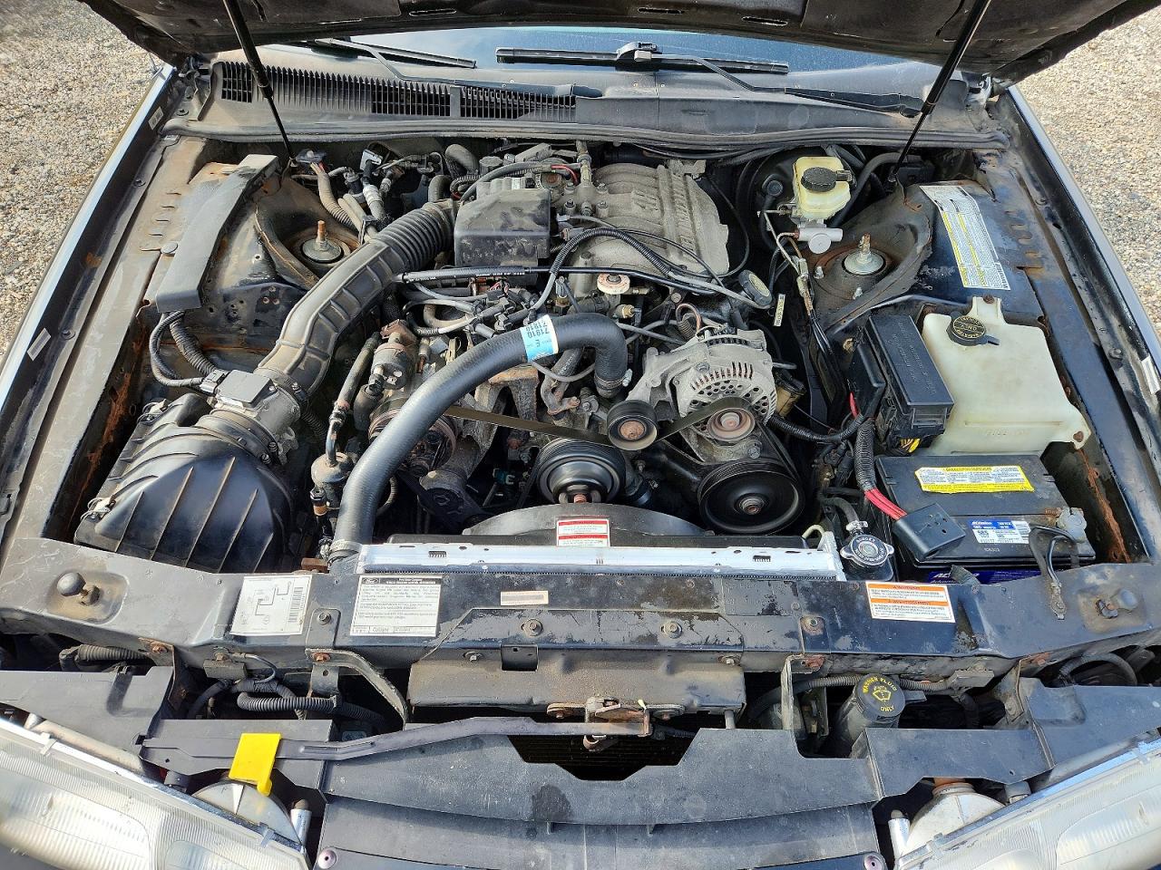 1996 Ford Thunderbird Lx Black vin: 1FALP6248TH184093