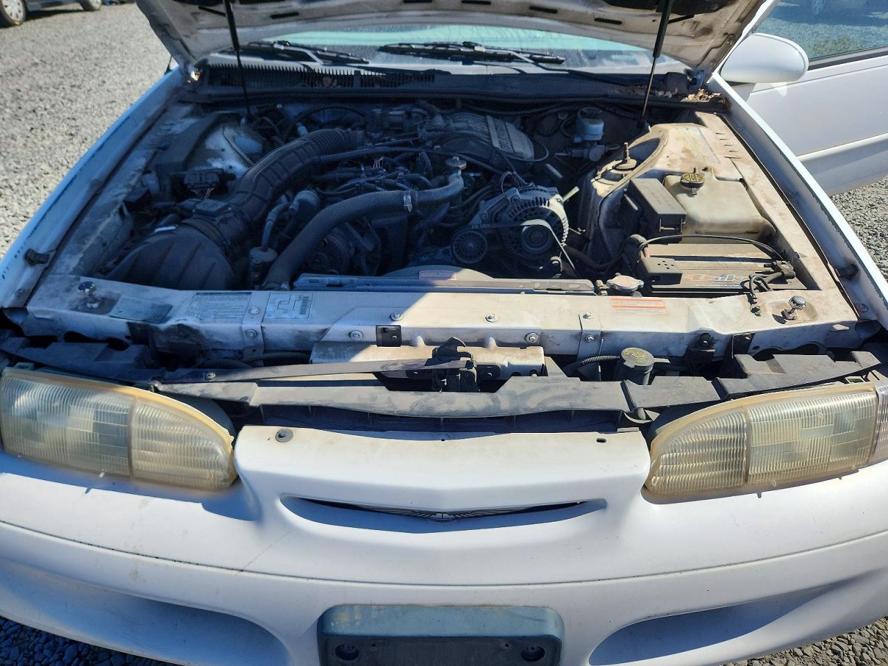 1994 Ford Thunderbird Lx White vin: 1FALP6249RH154769
