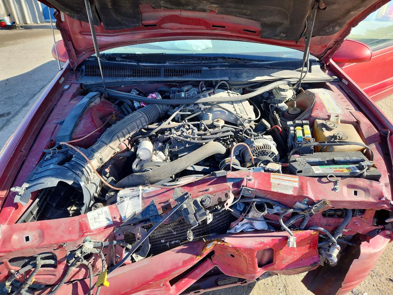 1996 Ford Thunderbird Lx Red vin: 1FALP624XTH138524