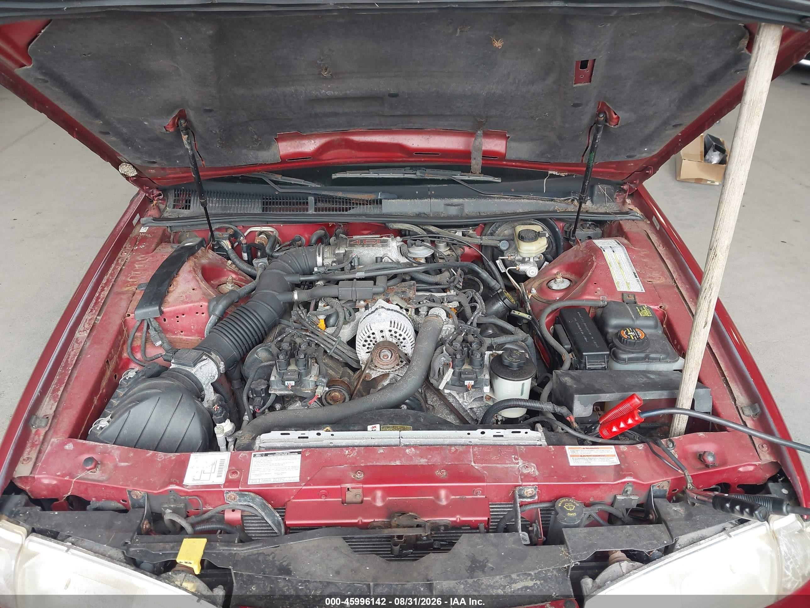 1997 Ford Thunderbird Lx Red vin: 1FALP62W1VH103620