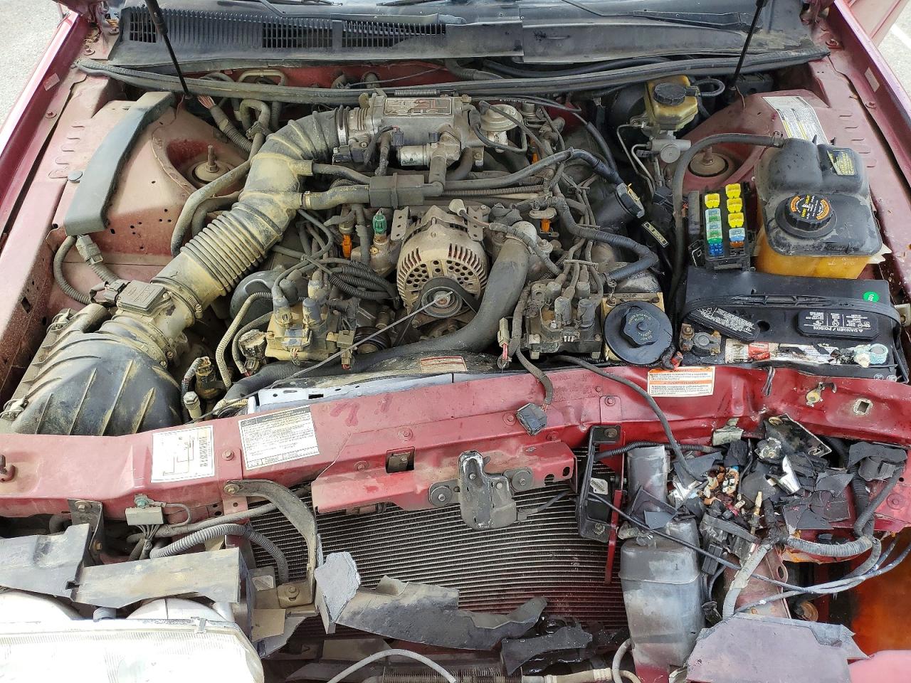 1997 Ford Thunderbird Lx Red vin: 1FALP62W1VH163008
