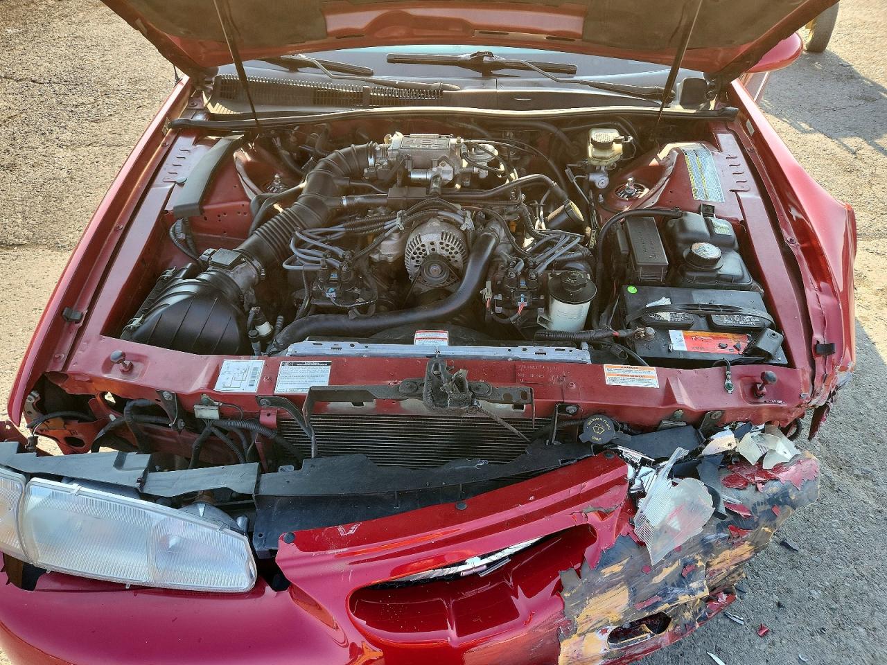 1997 Ford Thunderbird Lx Red vin: 1FALP62W2VH150705
