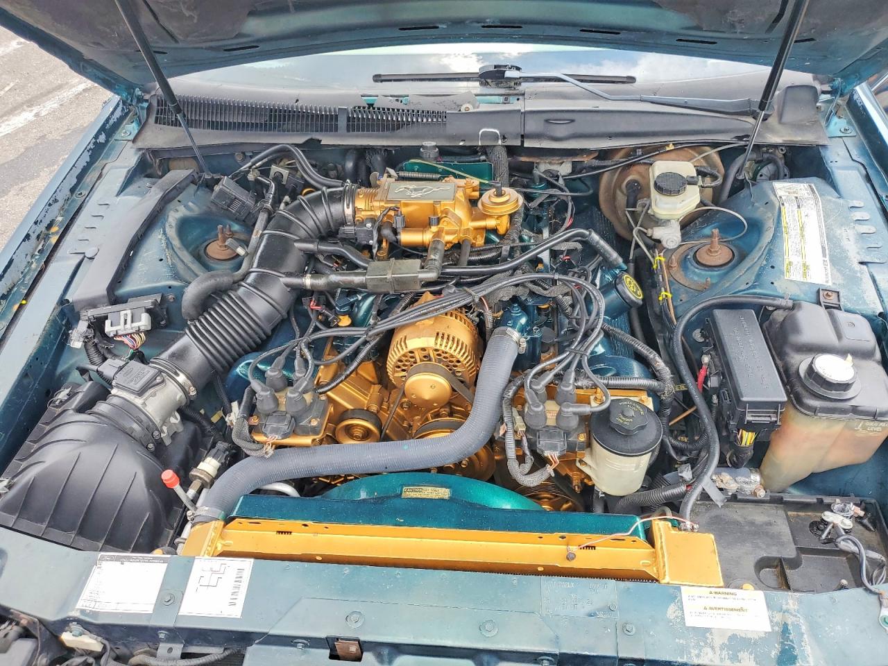 1995 Ford Thunderbird Lx Green vin: 1FALP62W4SH117300