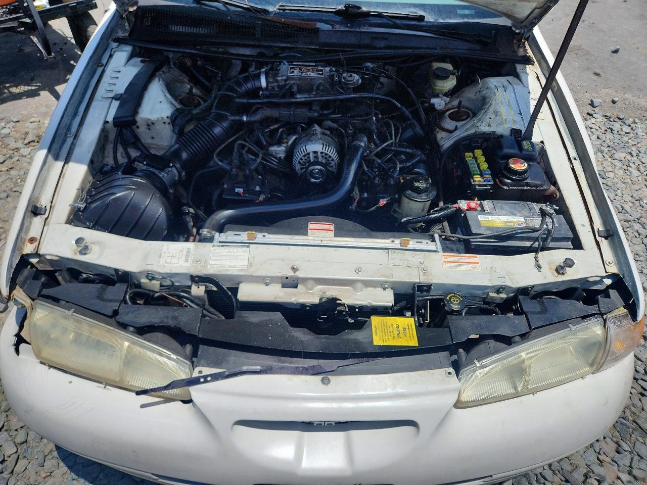 1996 Ford Thunderbird Lx White vin: 1FALP62W4TH154400