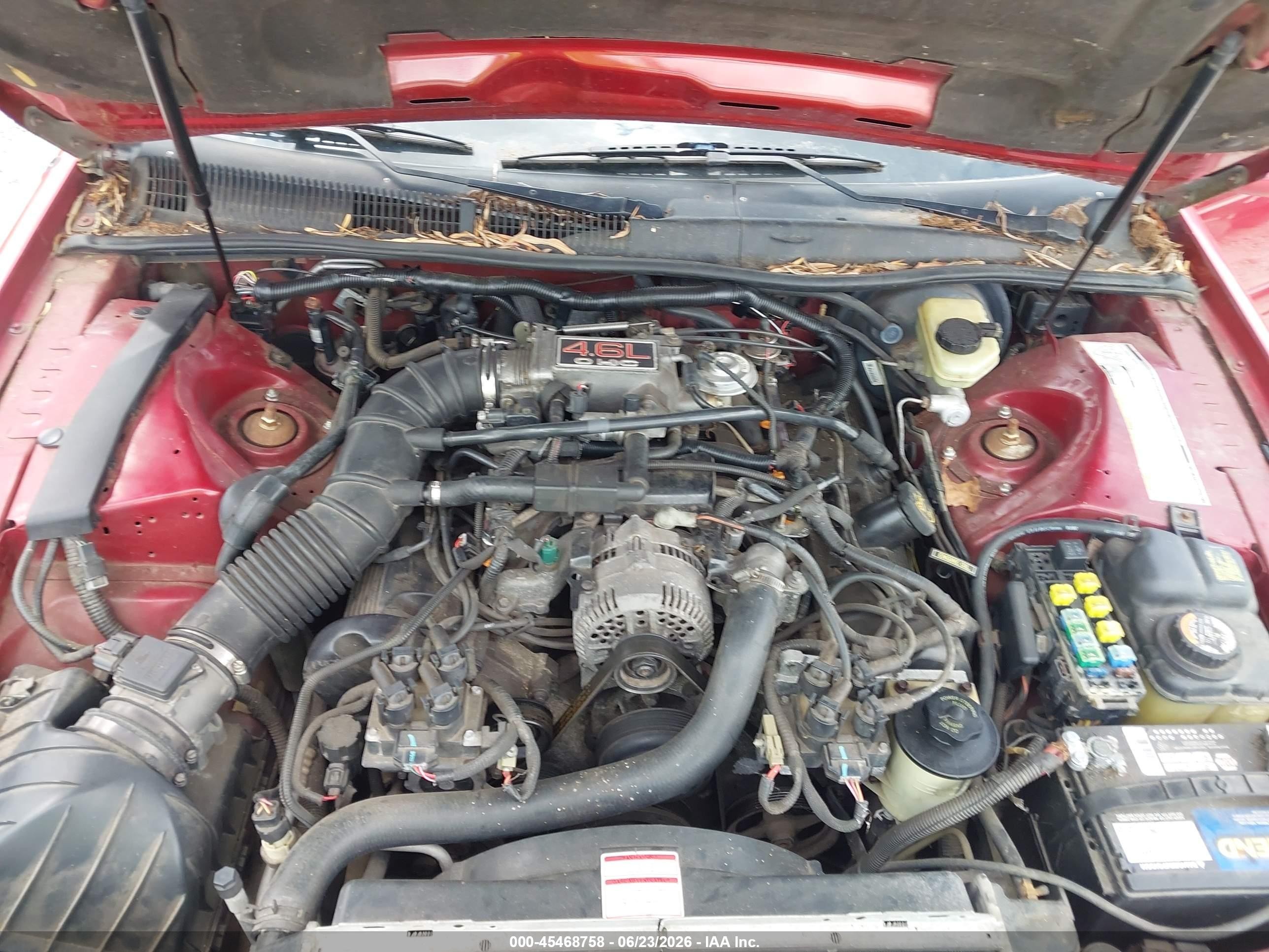1997 Ford Thunderbird Lx Red vin: 1FALP62W6VH129842