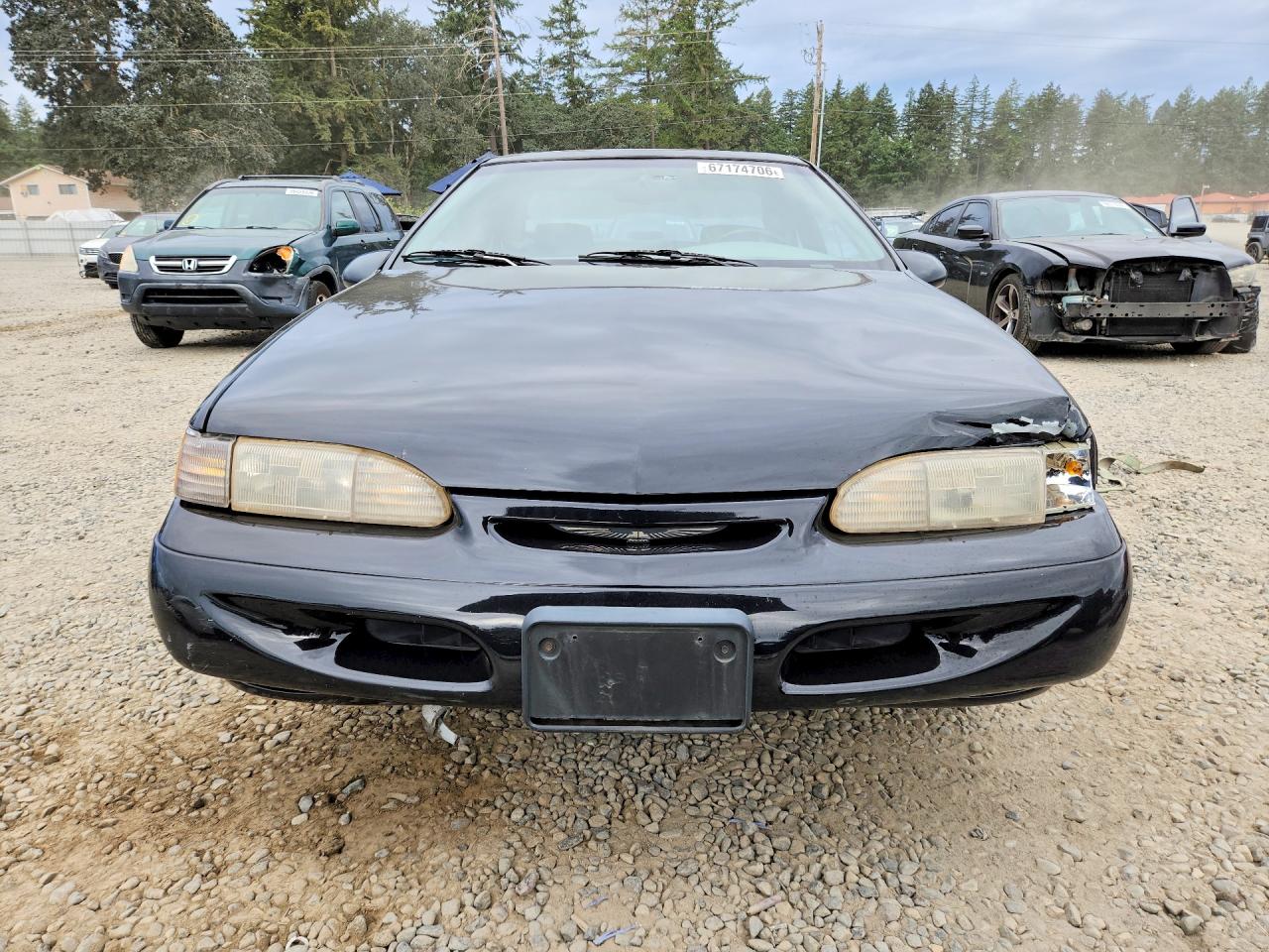 1994 Ford Thunderbird Lx Black vin: 1FALP62W8RH109131