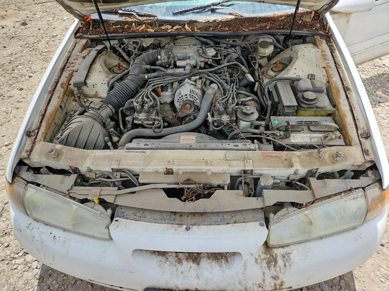 1997 Ford Thunderbird Lx White vin: 1FALP62W9VH148577