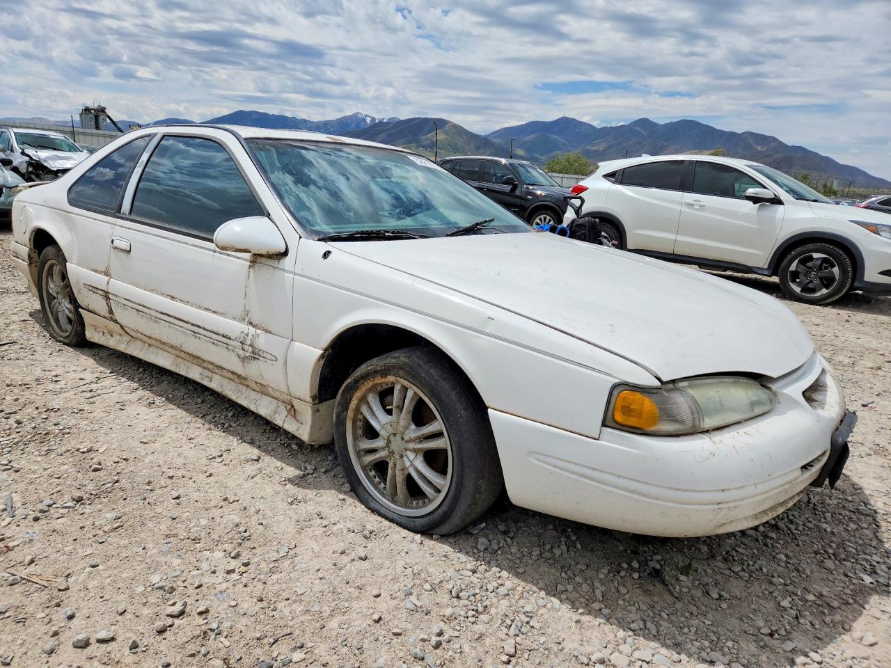 1997 Ford Thunderbird Lx White vin: 1FALP62W9VH148577